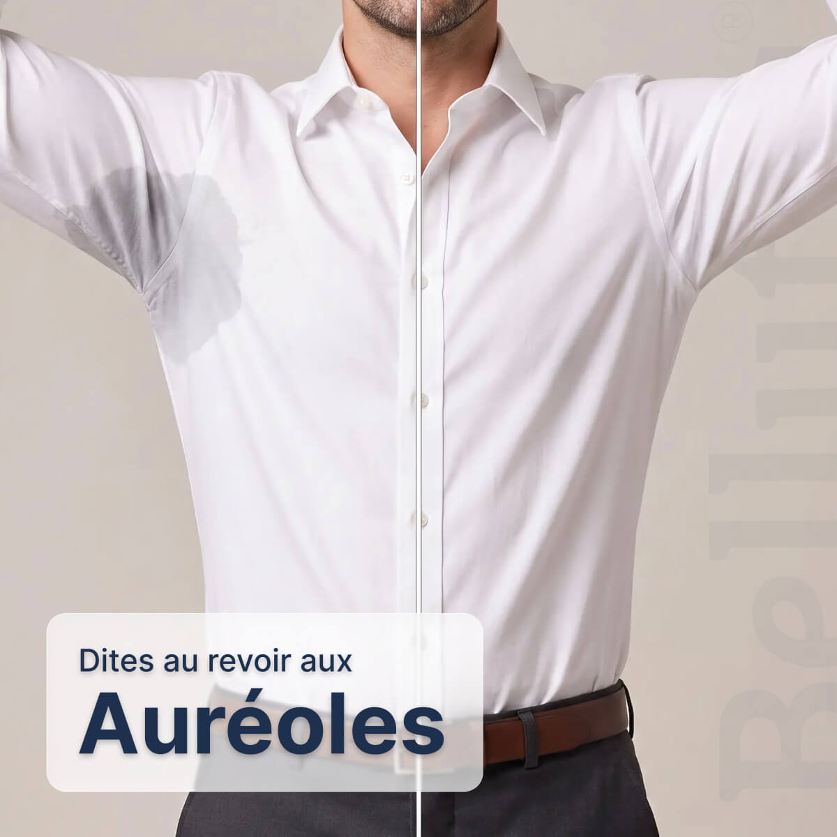 Chemise Infroissable à Coupe Ajustée